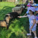 phoca_thumb_m_motlci vlet 10 Fotogalerie